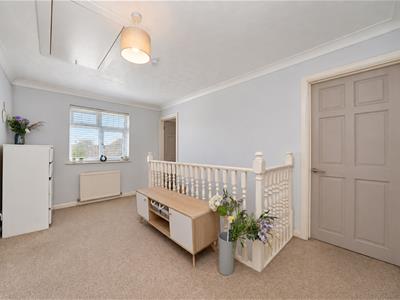 Picture 14